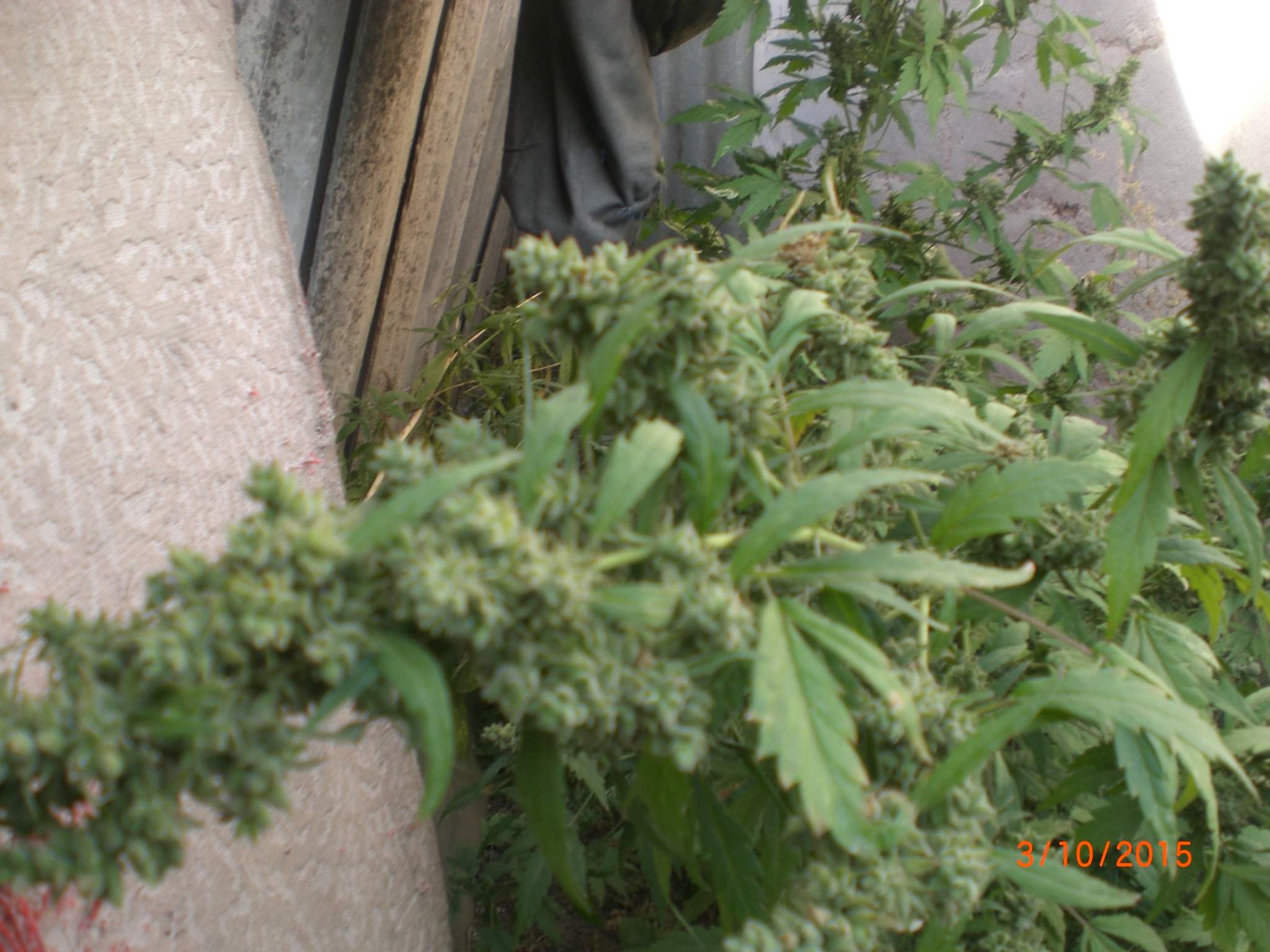 CIMG0072