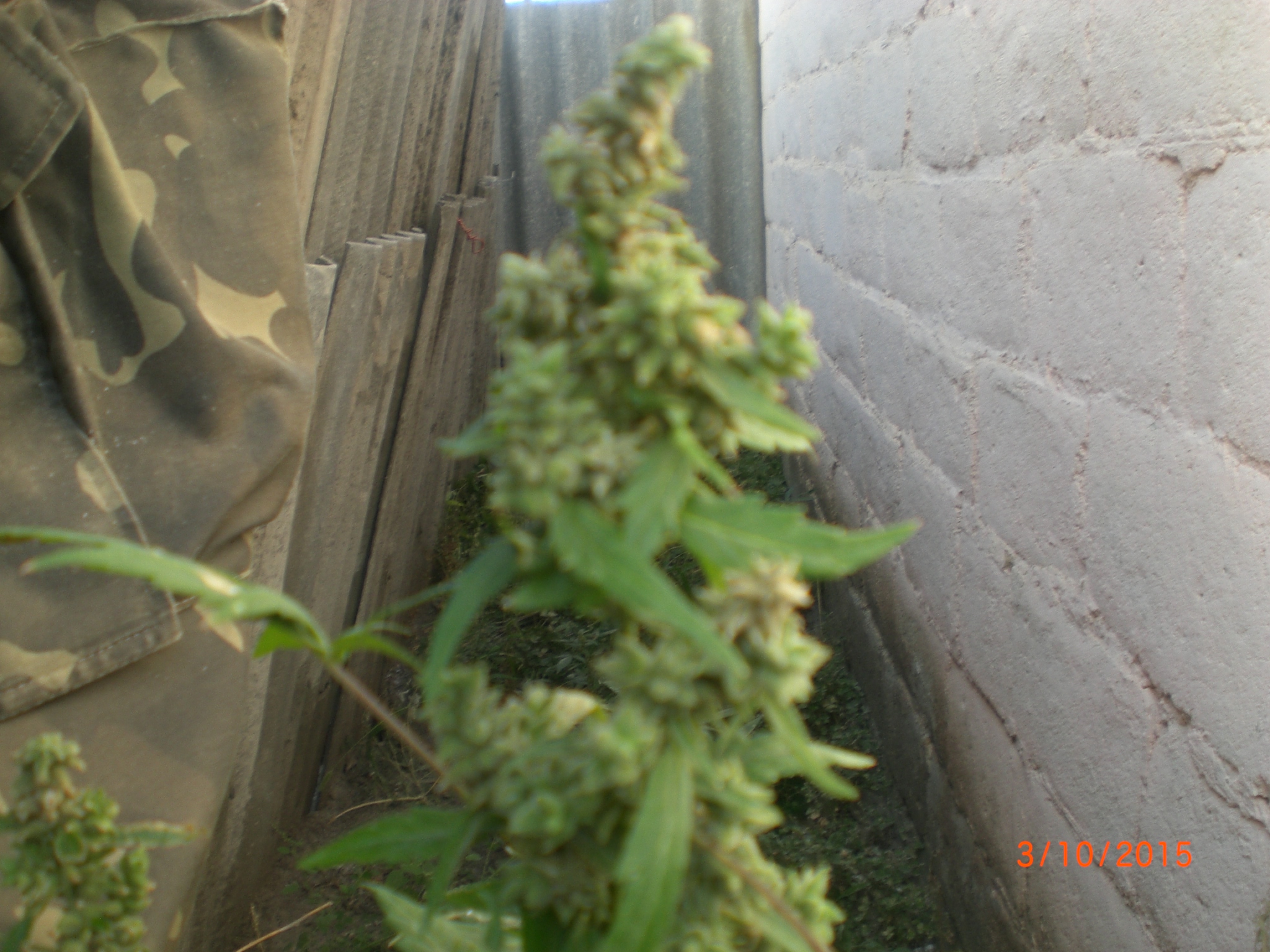 CIMG0073