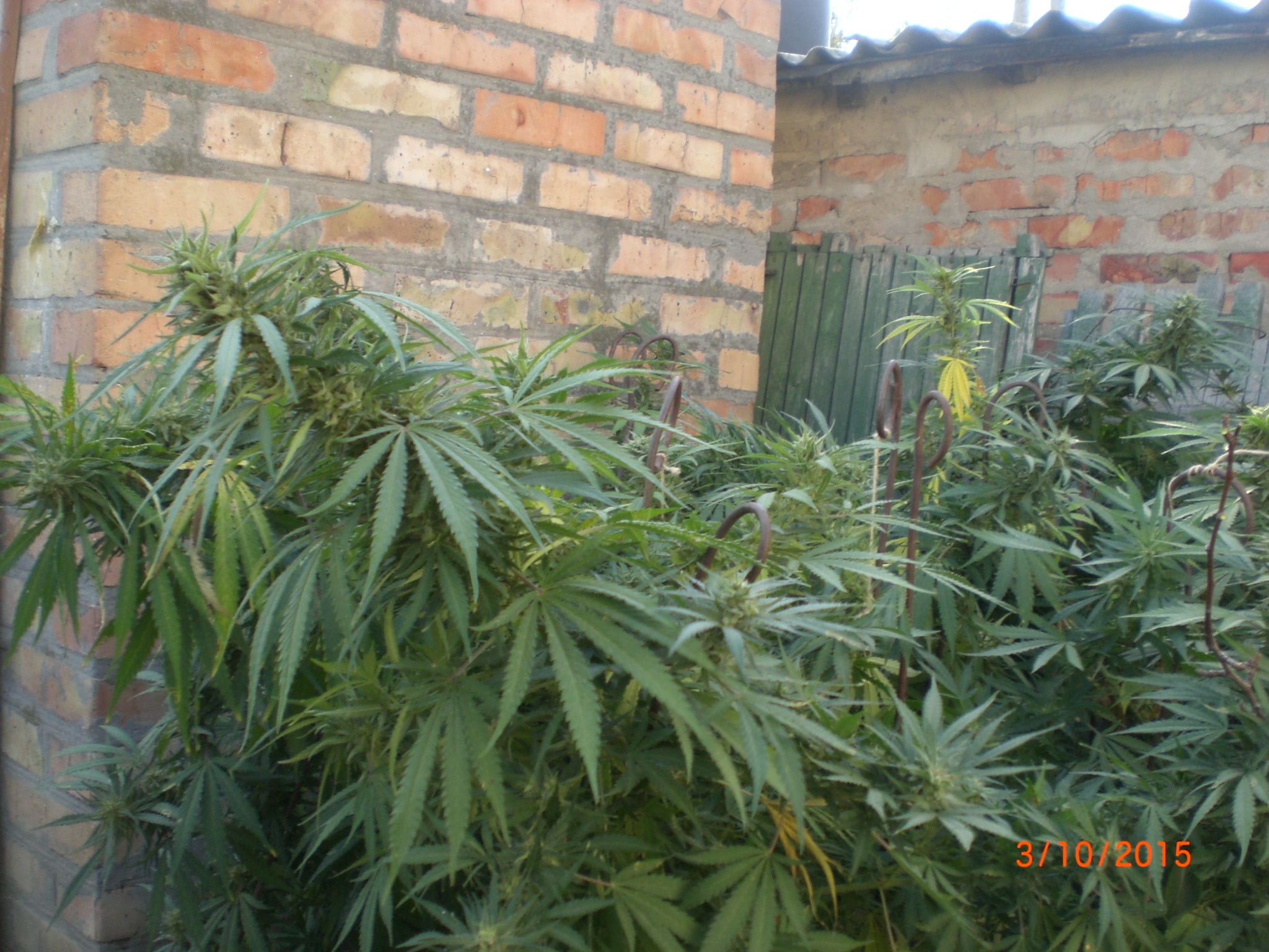 CIMG0074