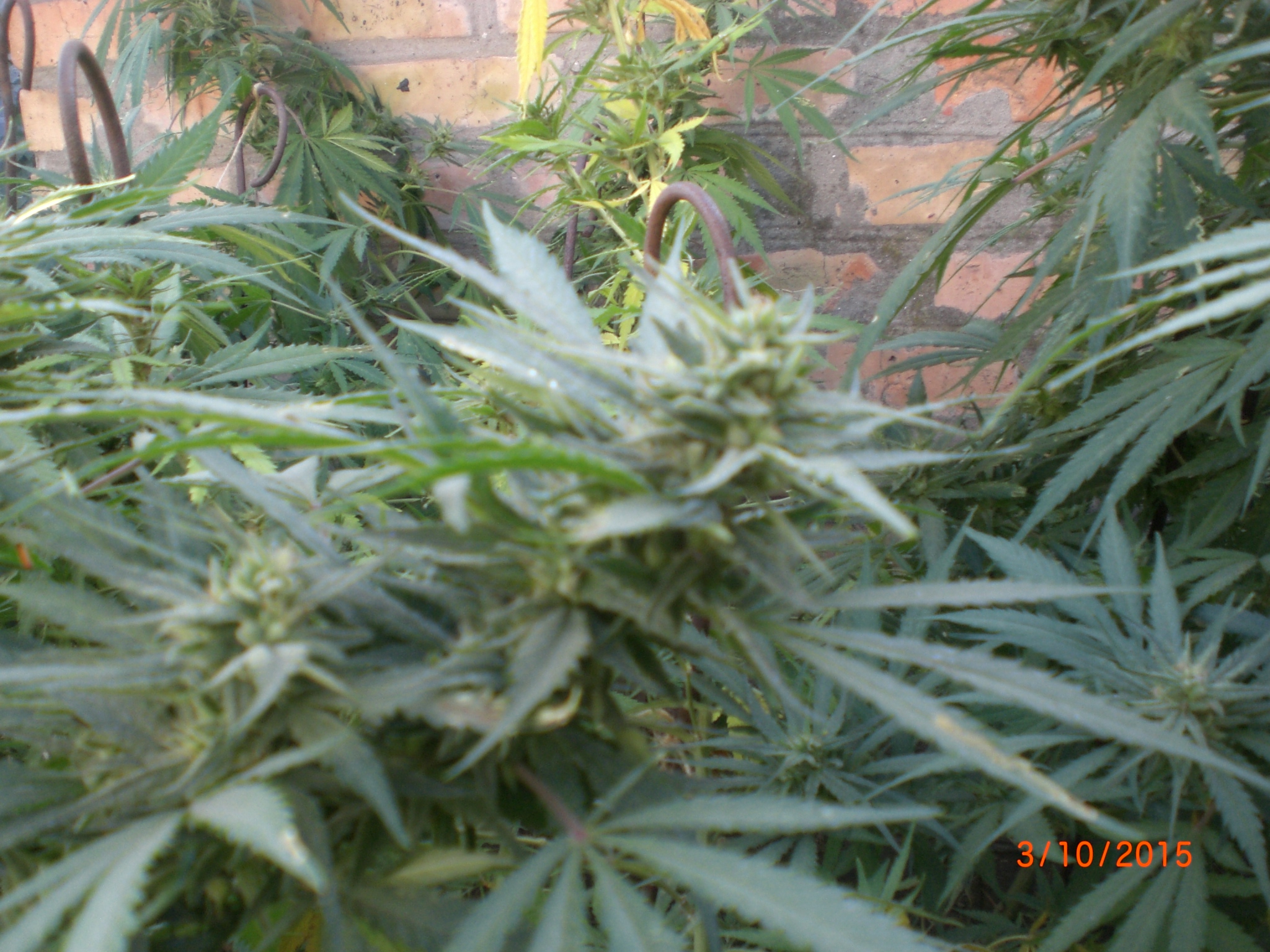 CIMG0075