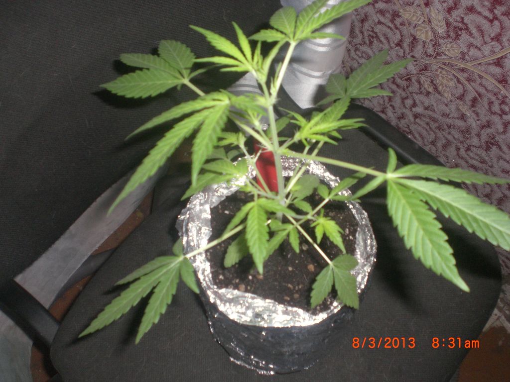 CIMG0121