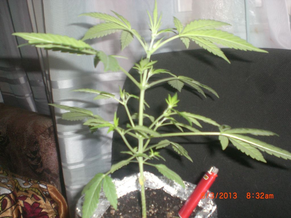 CIMG0122