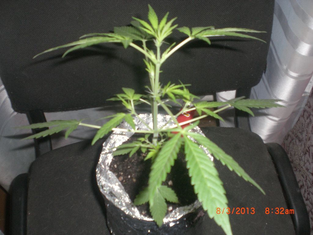 CIMG0123
