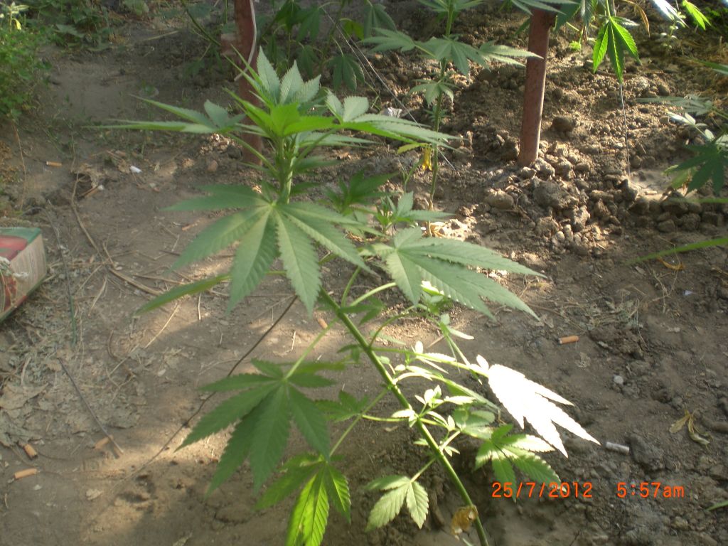 CIMG2371