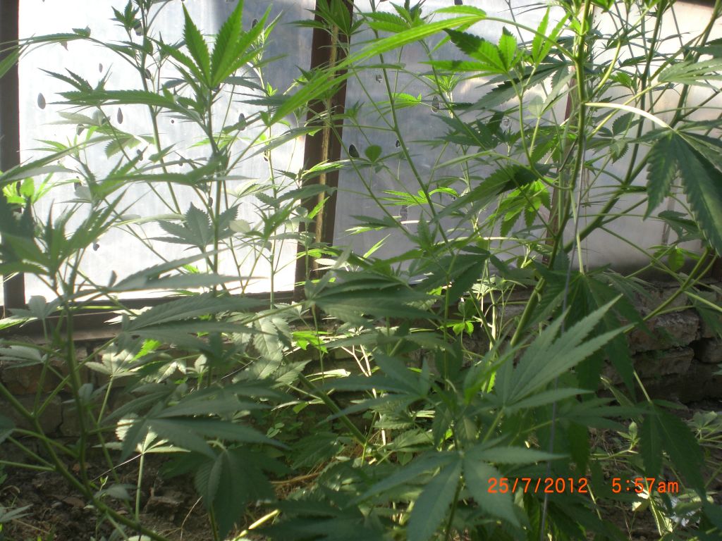 CIMG2372