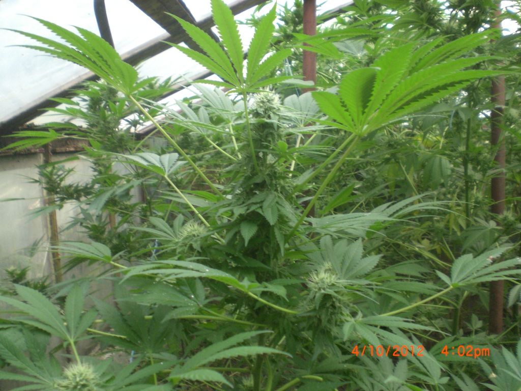 CIMG2389