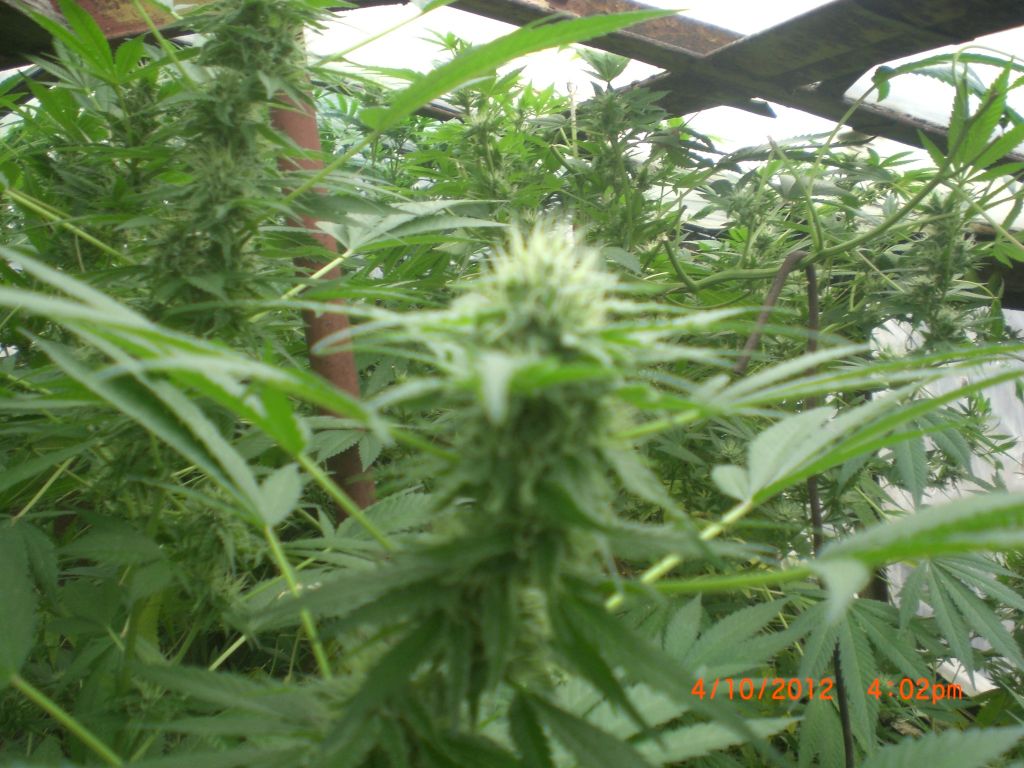 CIMG2390