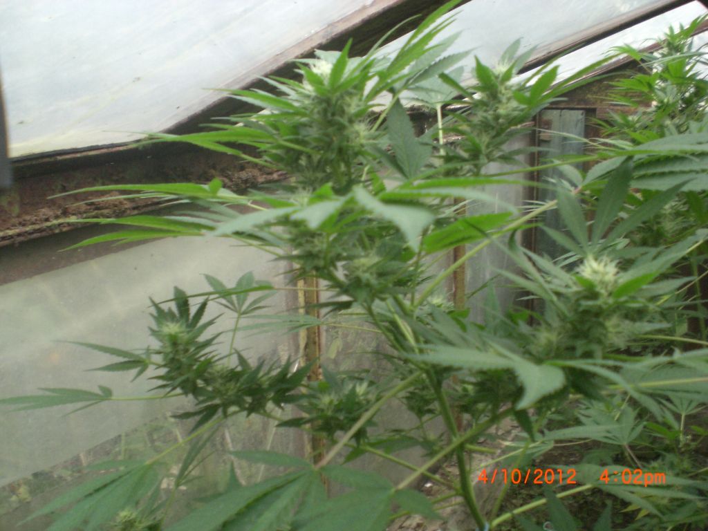 CIMG2391
