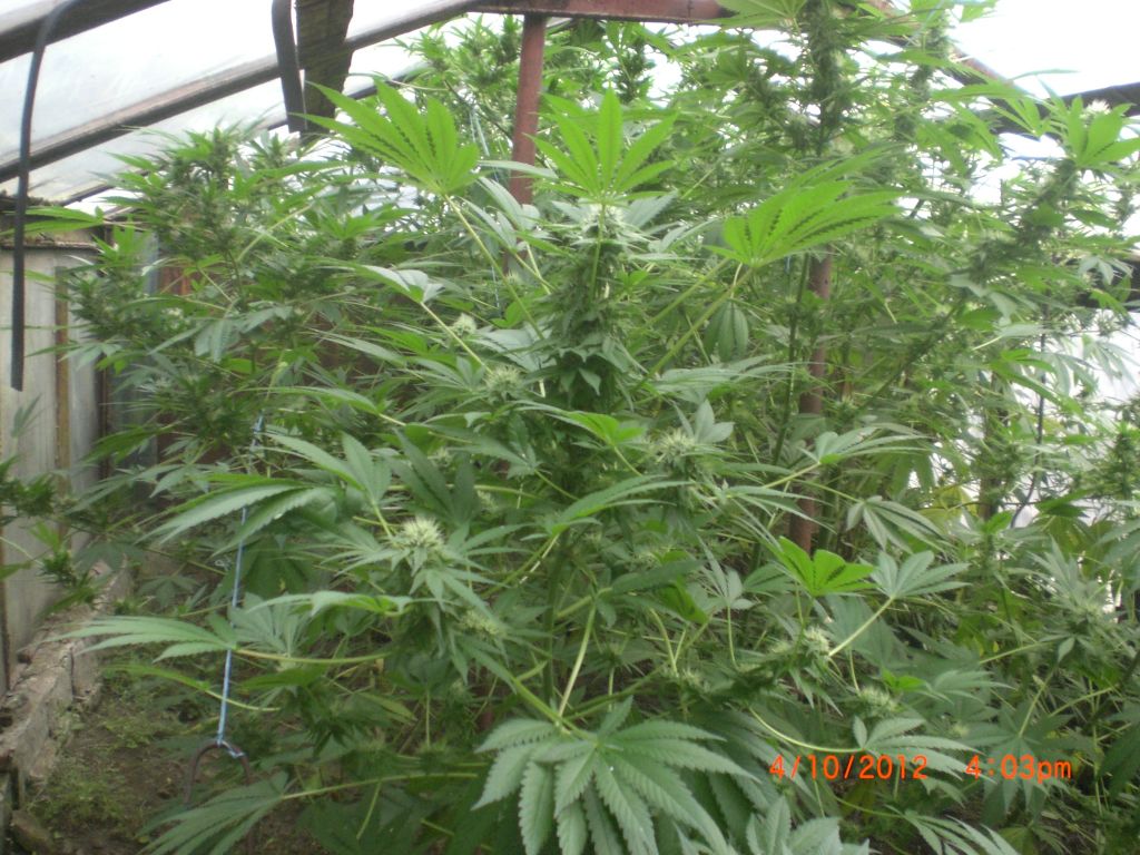 CIMG2392