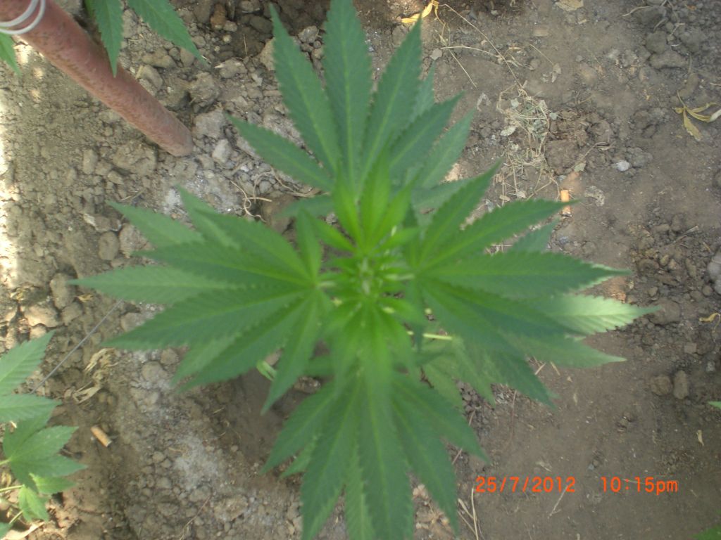CIMG2400