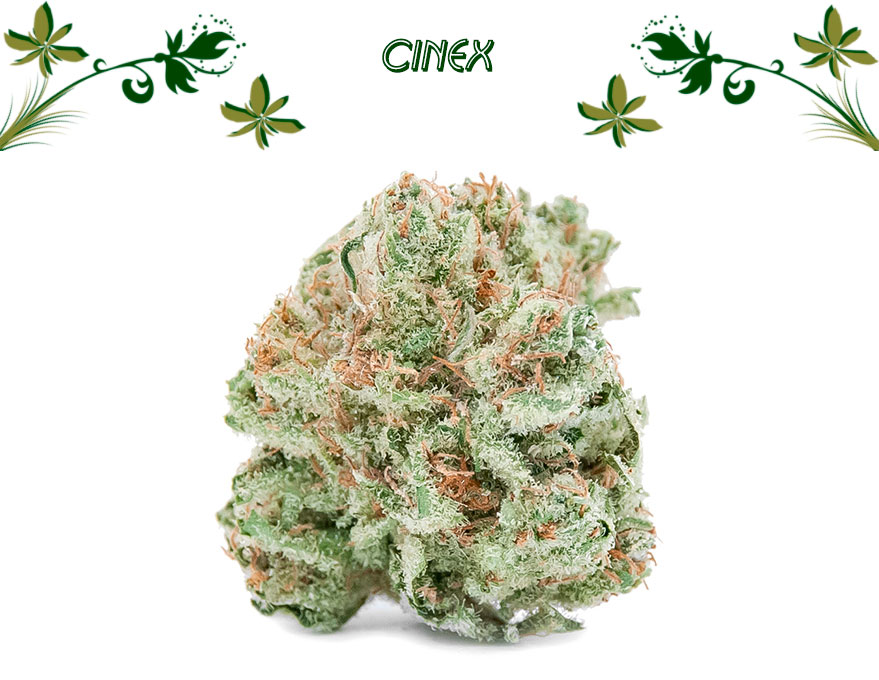 cinex