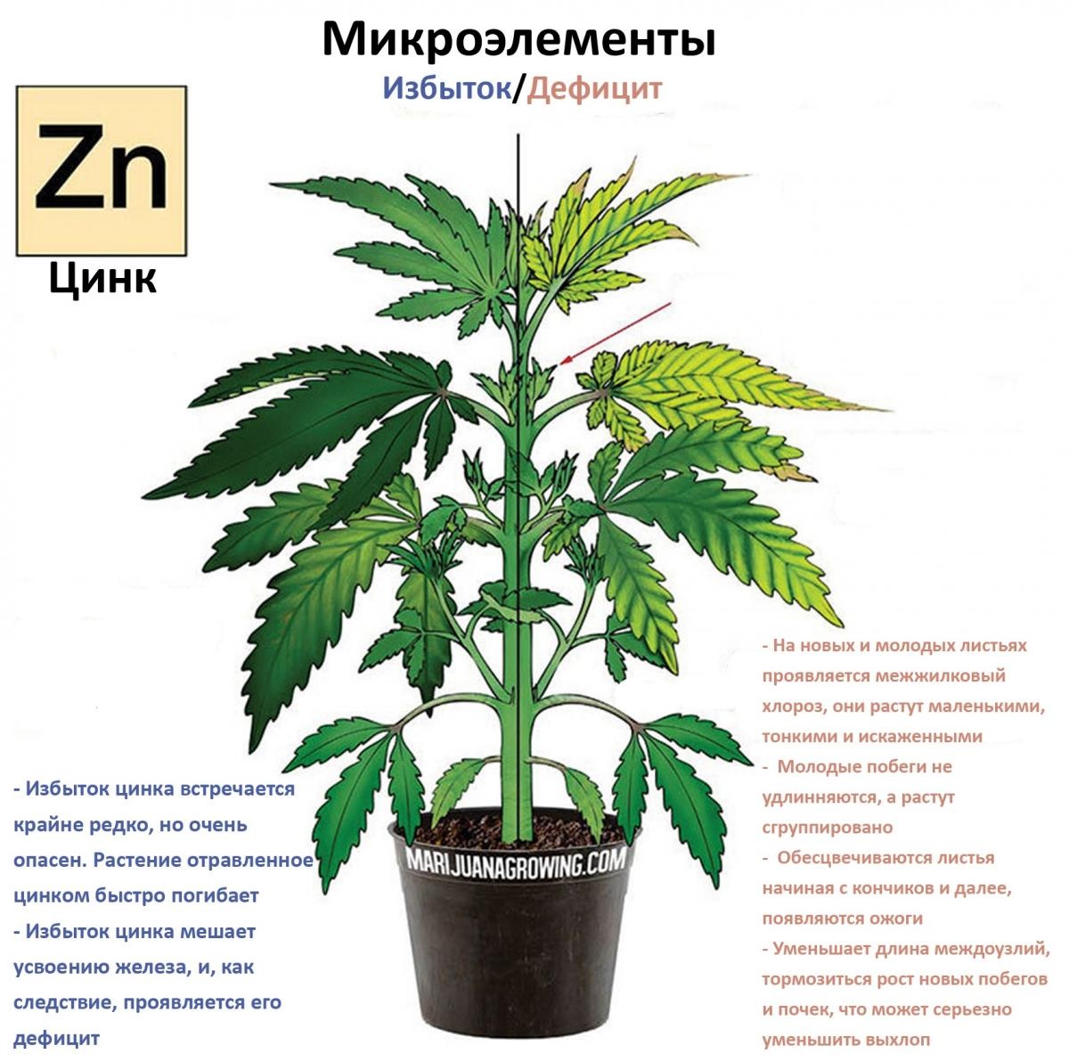 цинк