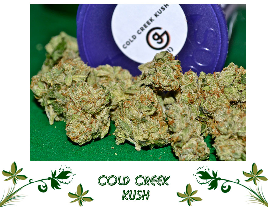 Cold Creek Kush сорт