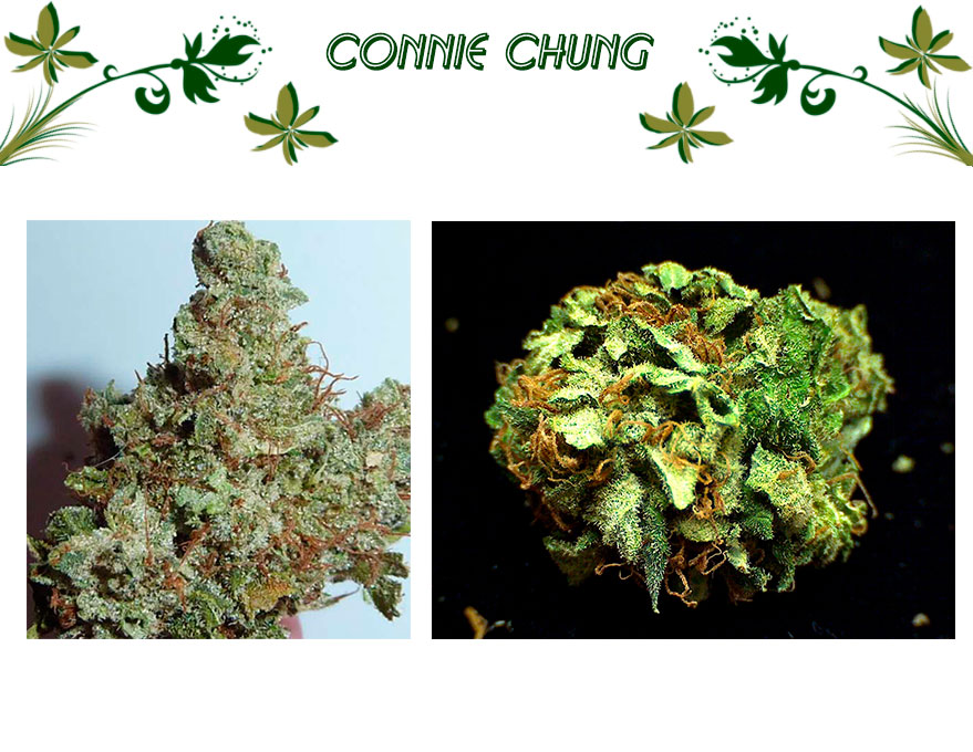 Connie Chung
