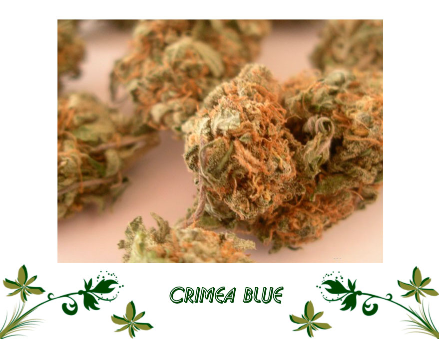Crimea Blue