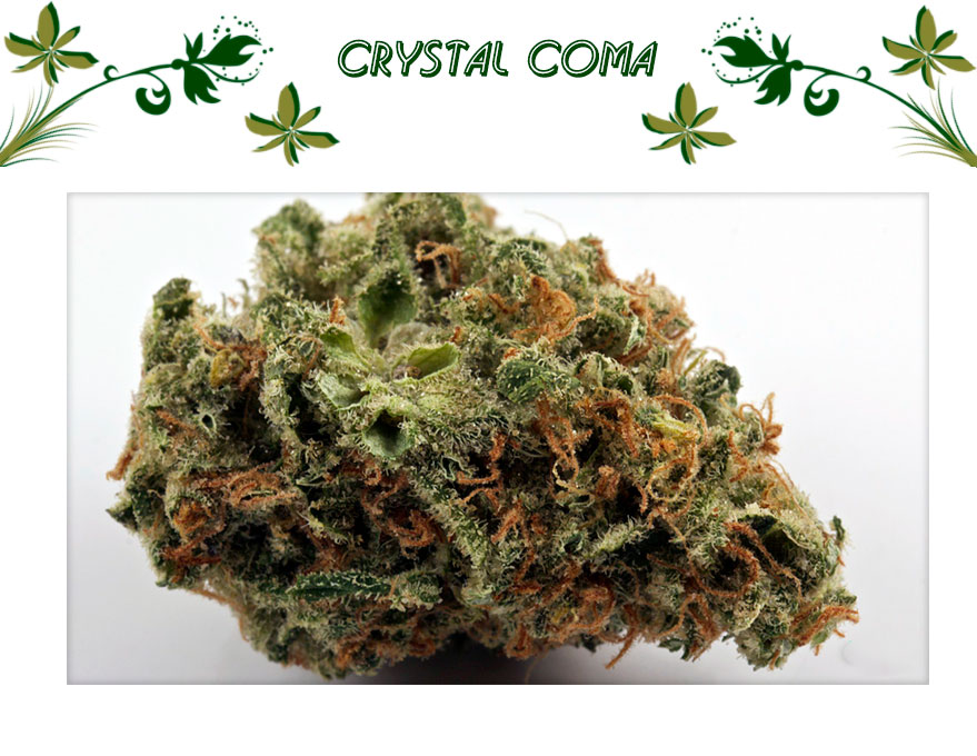 Crystal Coma