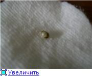 d1be81a2d272t