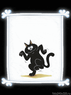 dancing Cat