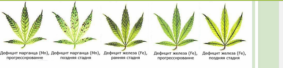 дефицит 3