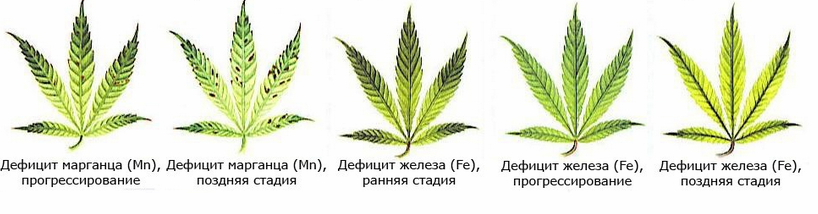дефицит 3