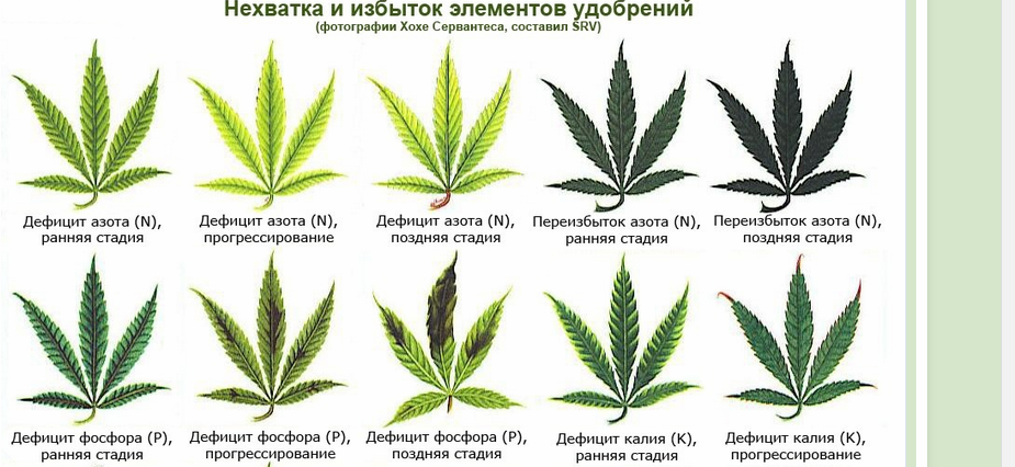 дейфицит 1
