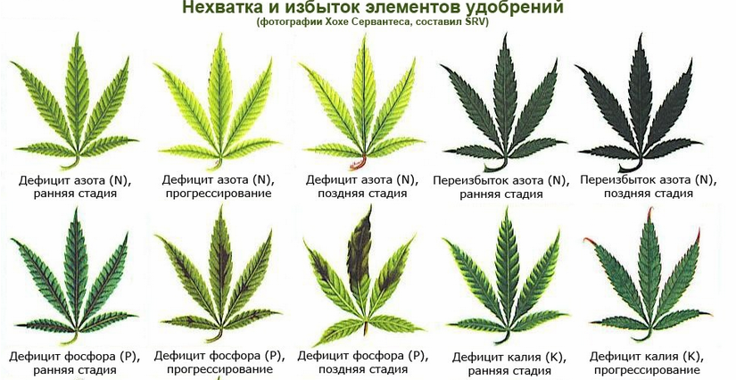 дейфицит 1