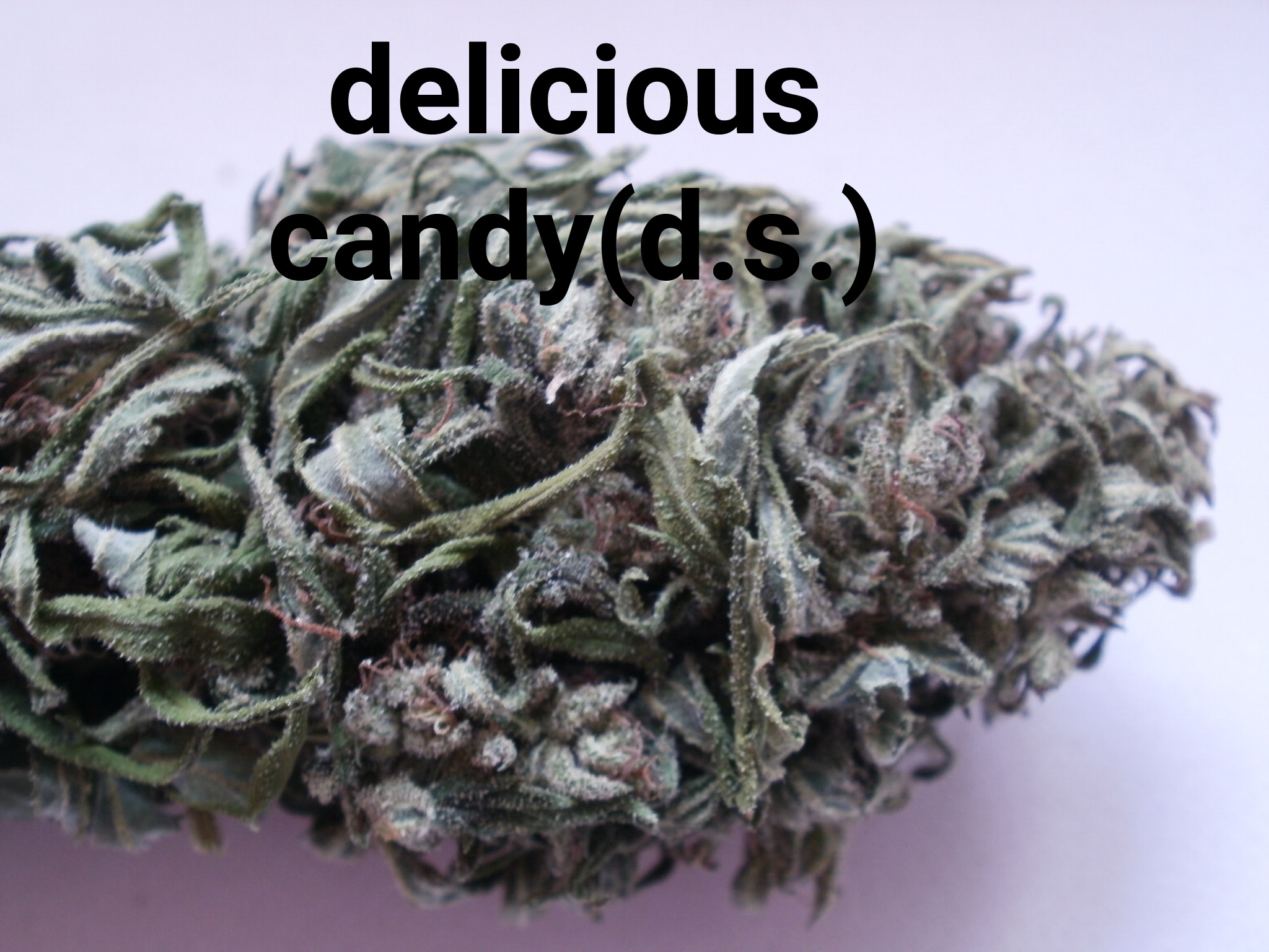 delicious candy