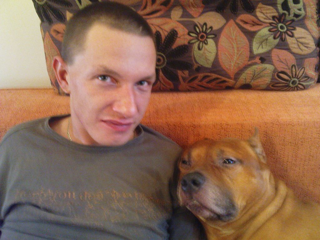 dog and mi