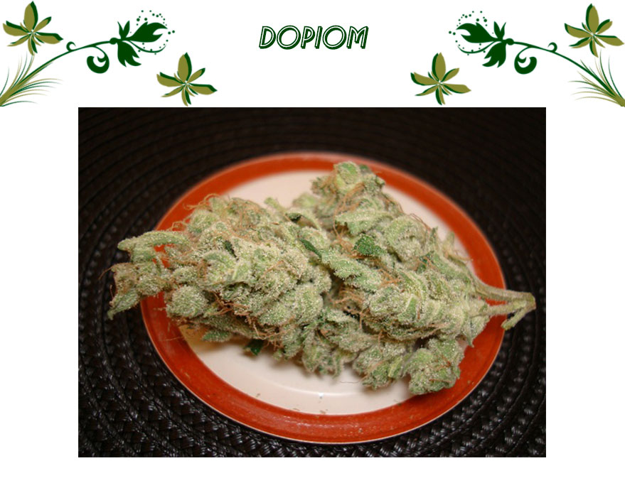 Dopiom