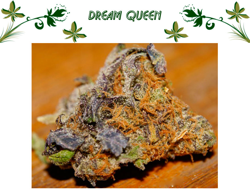 Dream Queen