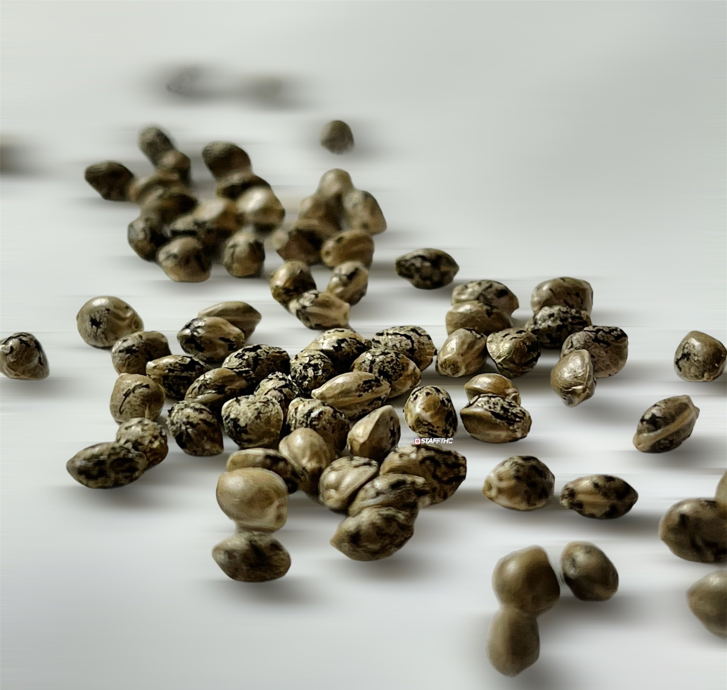 Drop Seeds