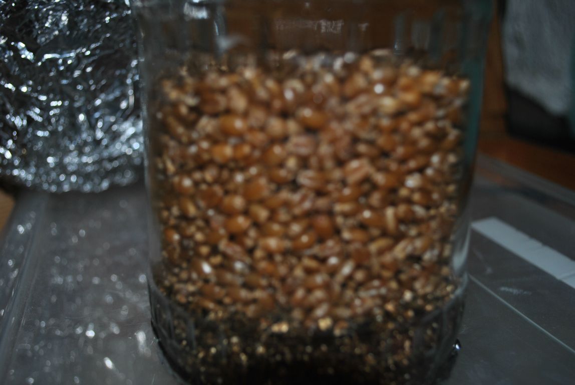 DSC 4773