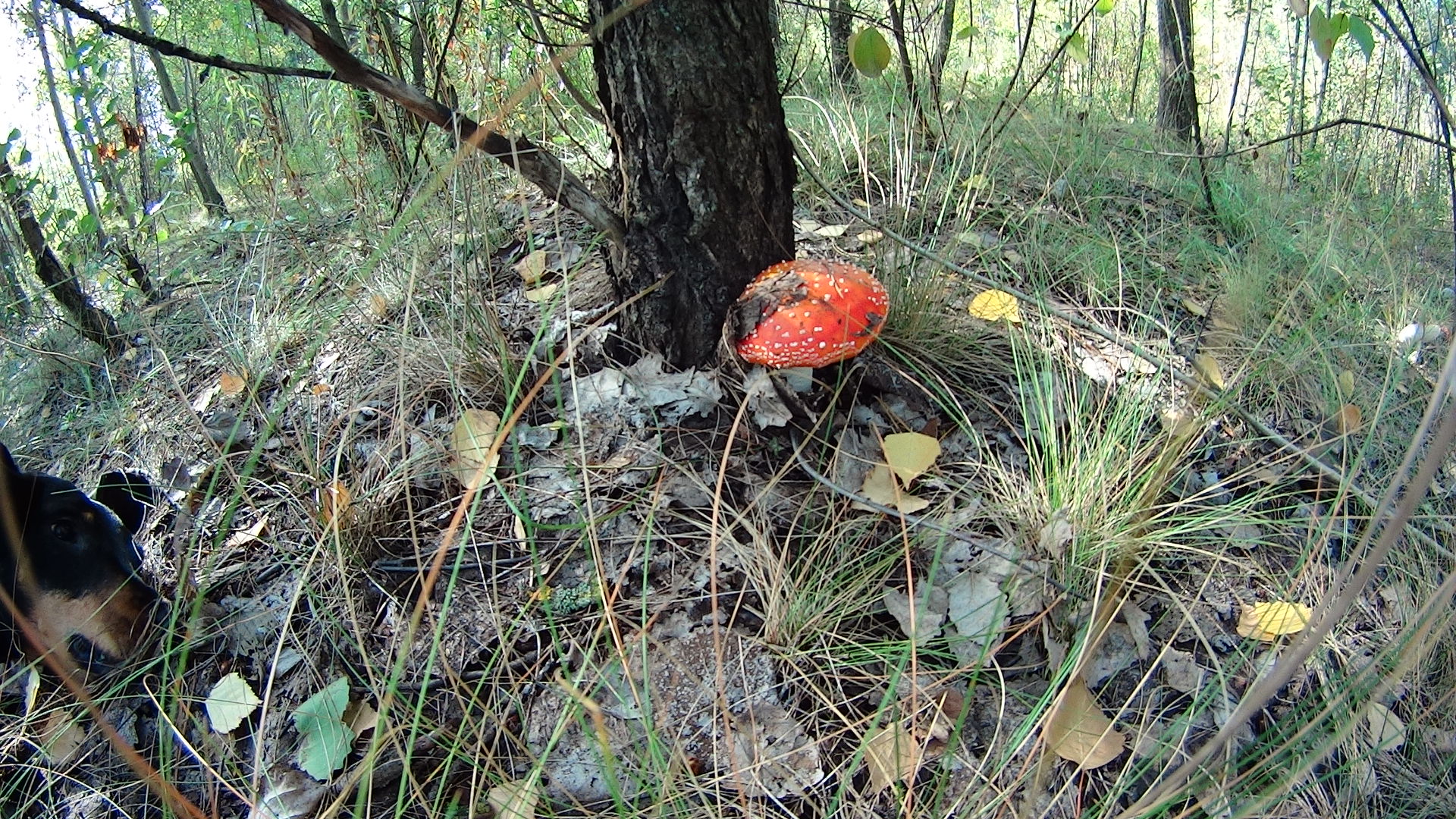 DSC04093.JPG