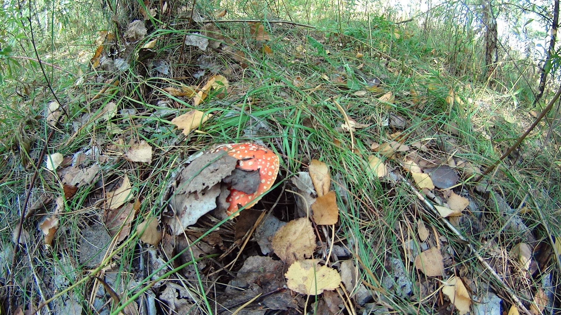 DSC04132.JPG
