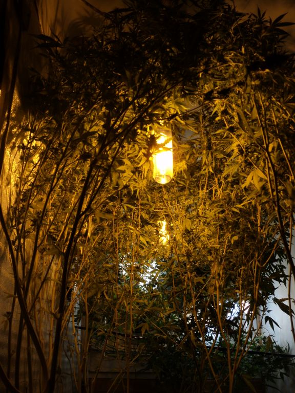 DSC04221