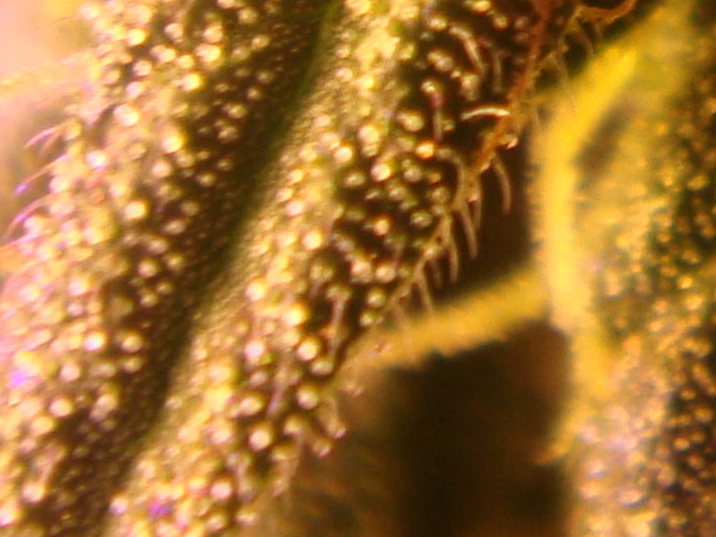 DSC05178