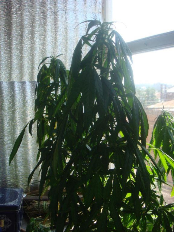 DSC05182