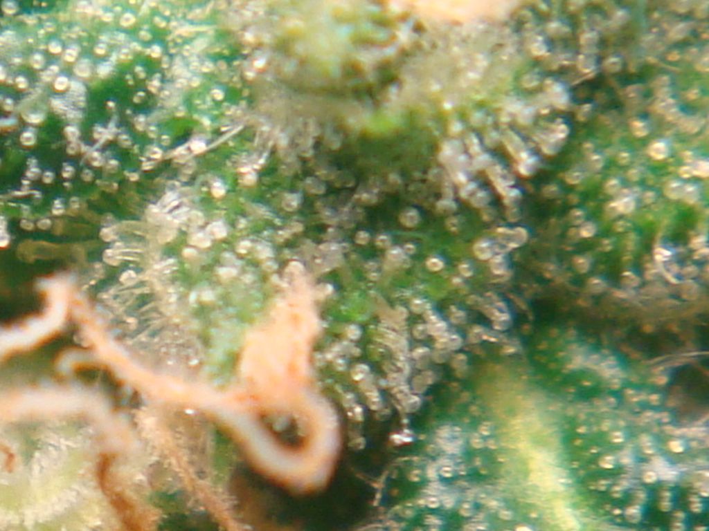 DSC05289