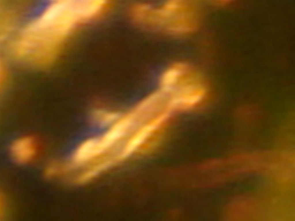 DSC05310