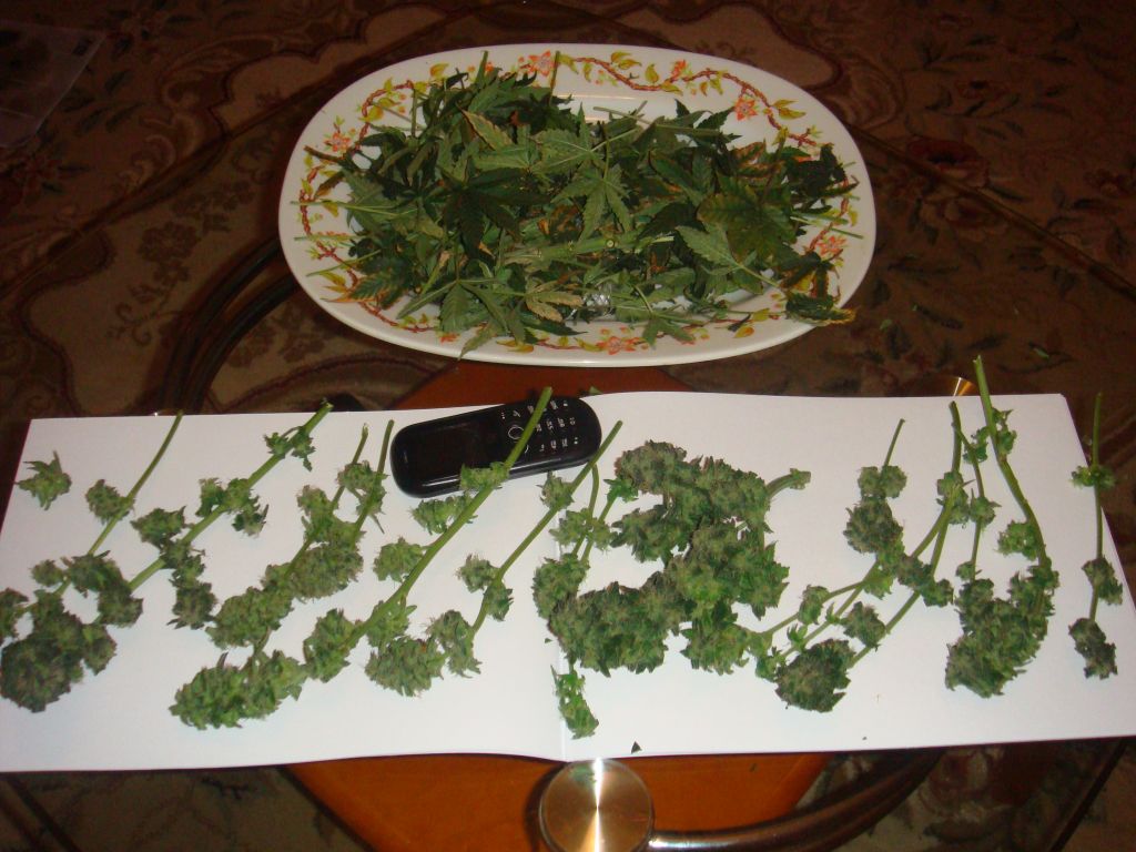 DSC05320