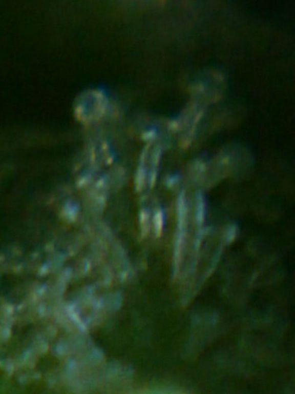 DSC05427