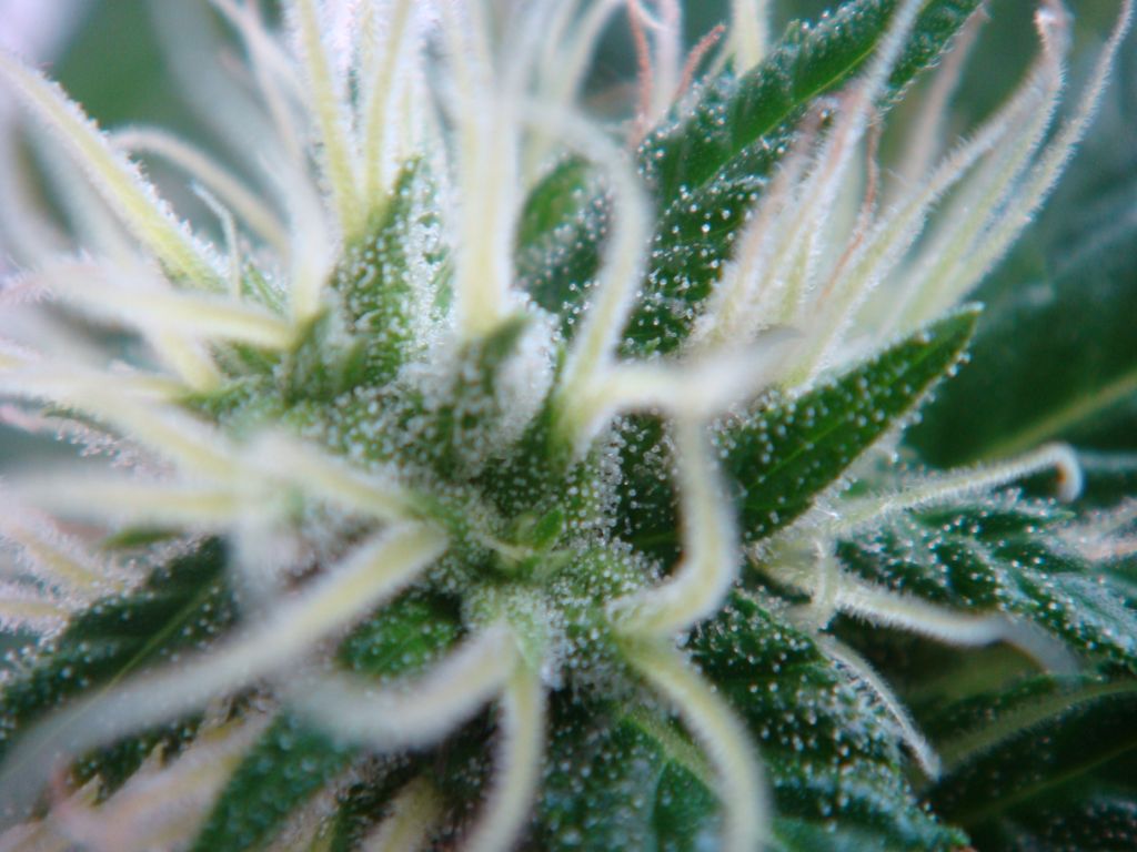 DSC05506
