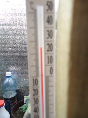DSC05590