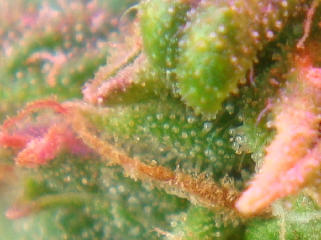 DSC05912