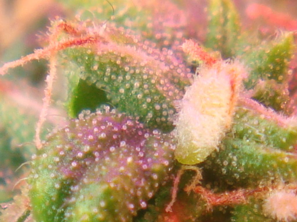 DSC05913
