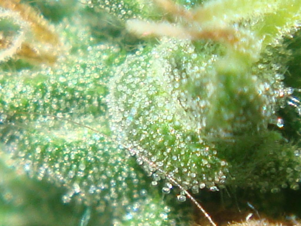 DSC06014