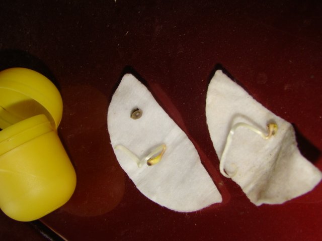 DSC08690