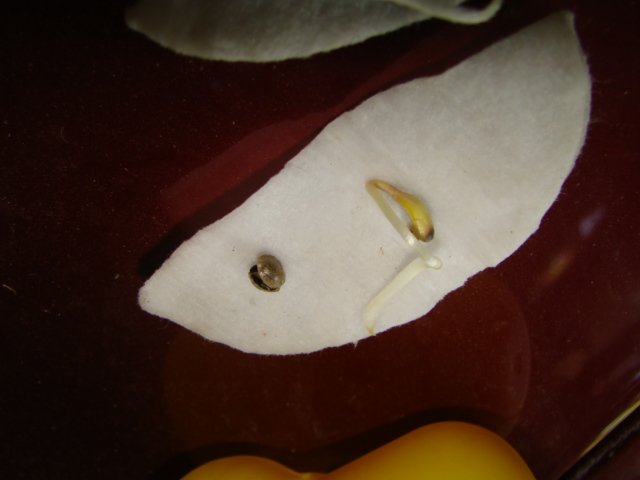 DSC08691