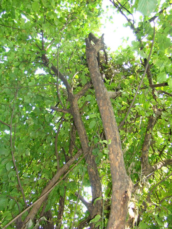 DSC08718