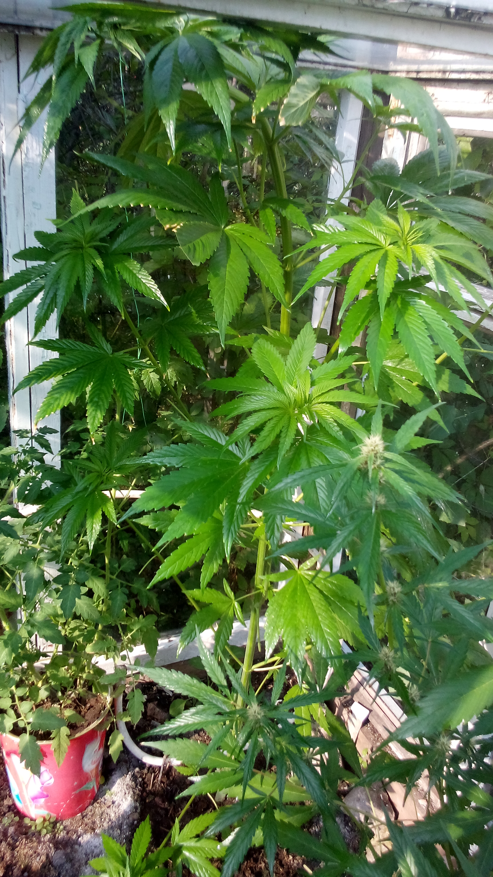 DSC_0145.jpg